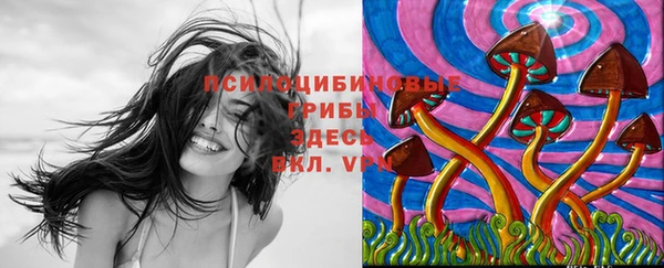 2c-b Алексин