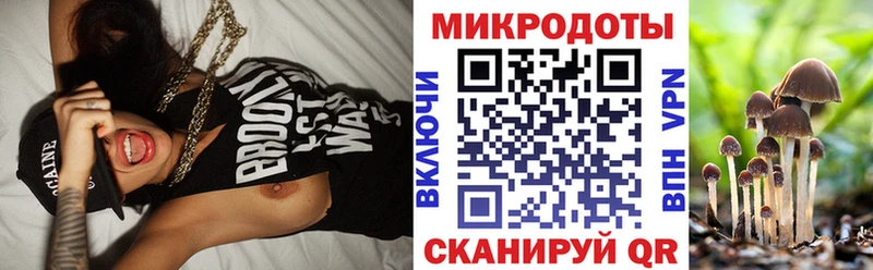 shop формула  Оса  Псилоцибиновые грибы мухоморы 