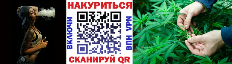 Конопля сатива Оса